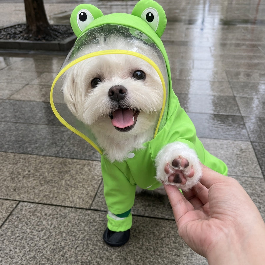 sp-pads-on-frog.jpg