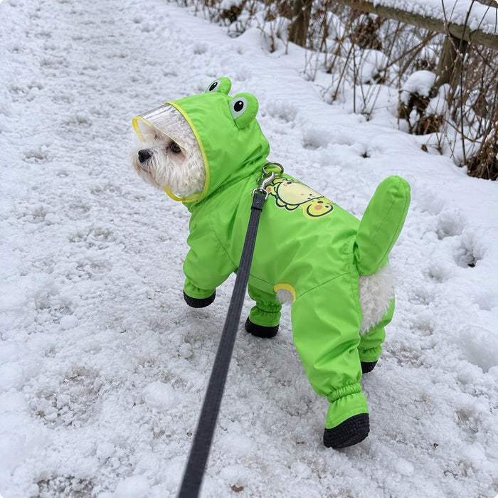 Maltese in the Frog Raincoat on a snowy walk