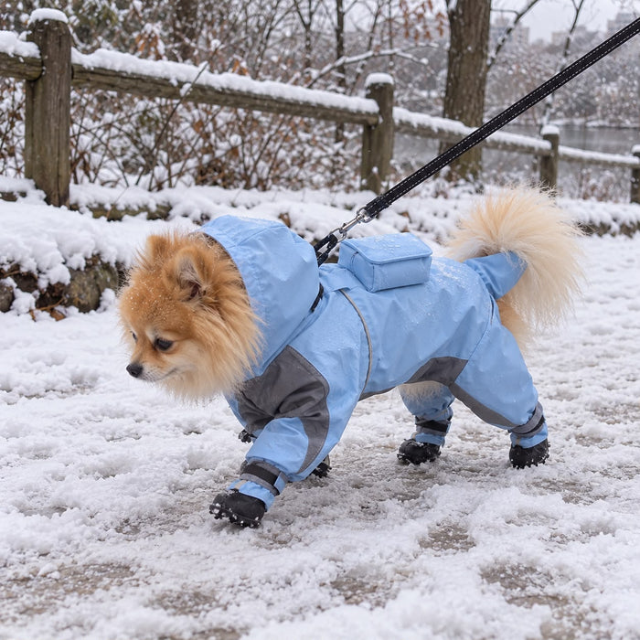 Pomeranian in the Blue Reflective Raincoat in the snow