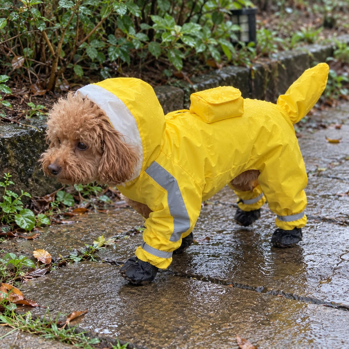 Poodle in the Yellow Reflective Raincoat with zip pocket